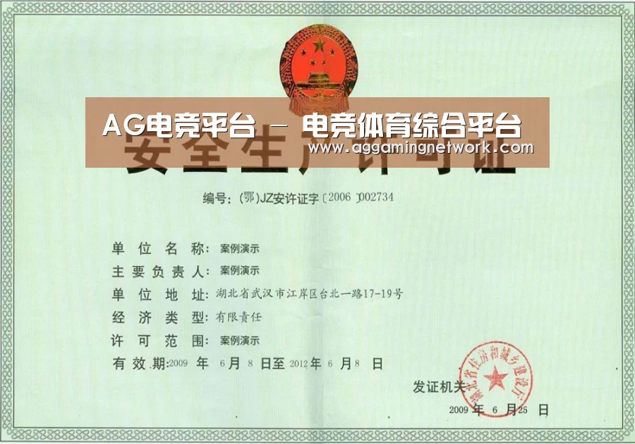 荣誉证书四(图1)