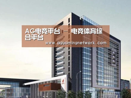 案例展示七