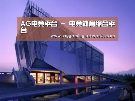 案例展示六