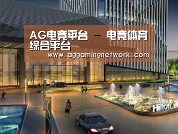 案例展示二