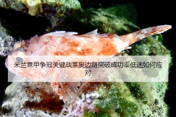 mi-lan-yi-jia-zheng-guan-guan-jian-zhan-lai-ao-bian-lu-tu-po-cheng-gong-lv-di-mi-ru-he-ying-dui-2-521.jpg
