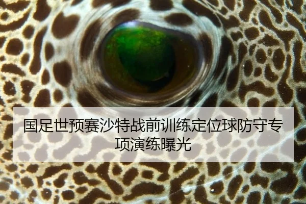 guo-zu-shi-yu-sai-sha-te-zhan-qian-xun-lian-ding-wei-qiu-fang-shou-zhuan-xiang-yan-lian-bao-guang-3-606.jpg