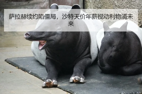 萨拉赫续约陷僵局，沙特天价年薪搅动利物浦未来
