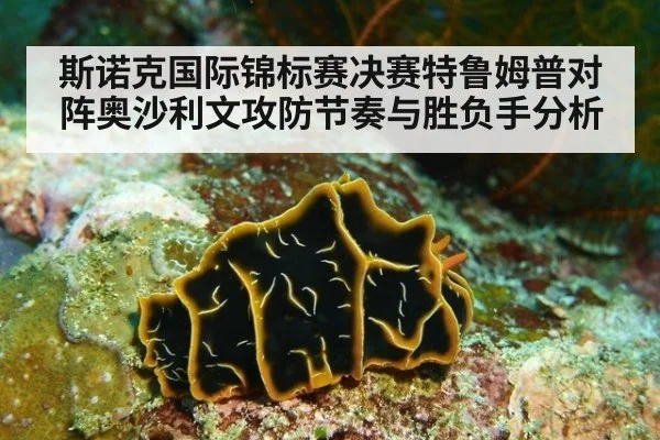 斯诺克国际锦标赛决赛特鲁姆普对阵奥沙利文攻防节奏与胜负手分析